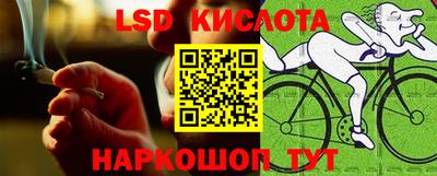 винт Будённовск