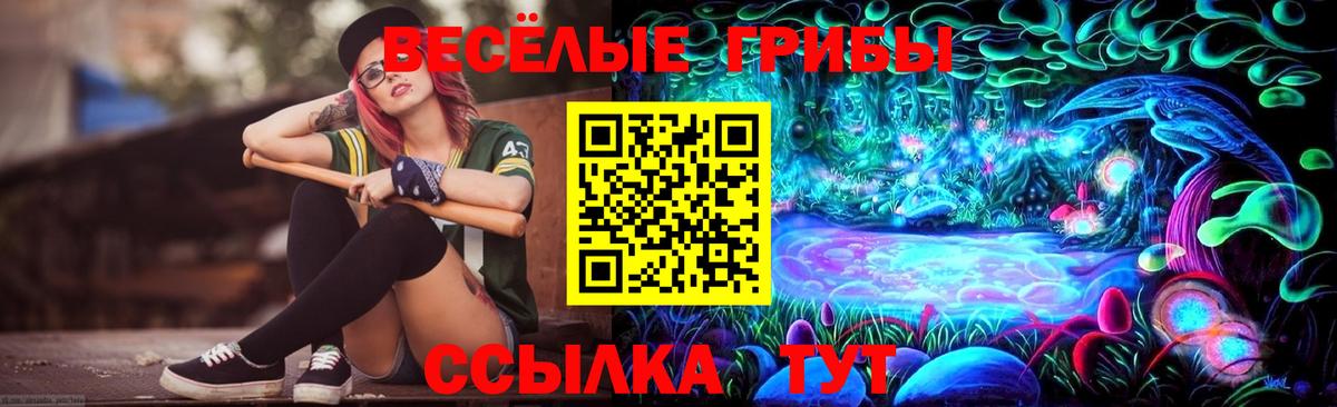 Галлюциногенные грибы ЛСД  Вход с VPN  Щёкино 